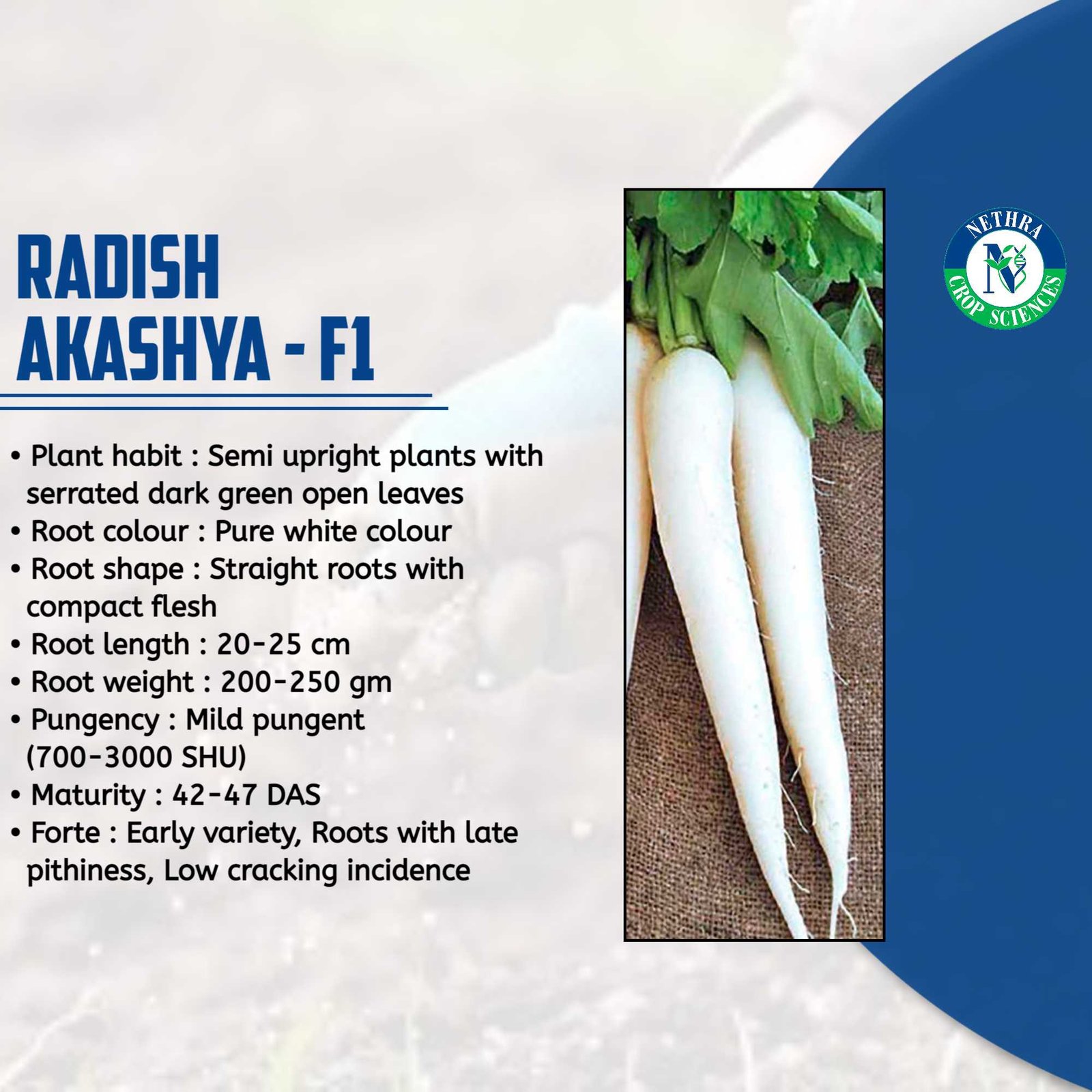 Agriculture poster 17