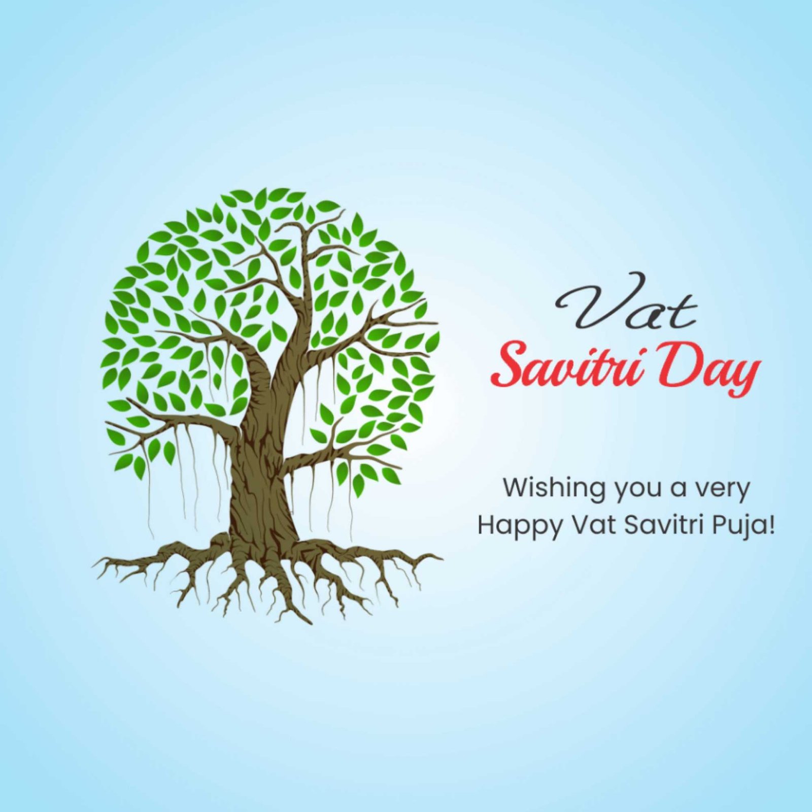 Vat Savitri Puja ( Vat Purnima ) poster 114