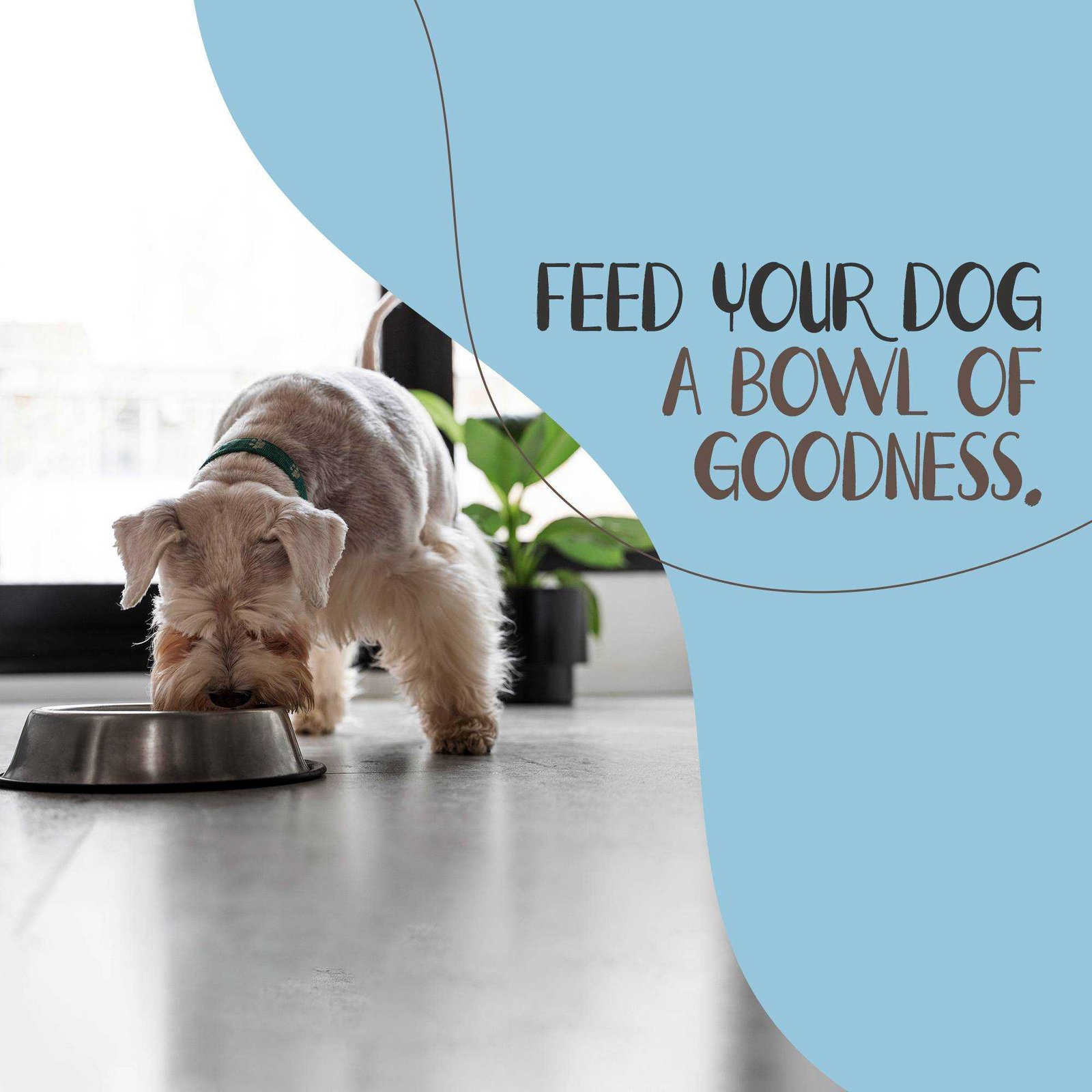 Pet Supplies And Services पोस्टर 58