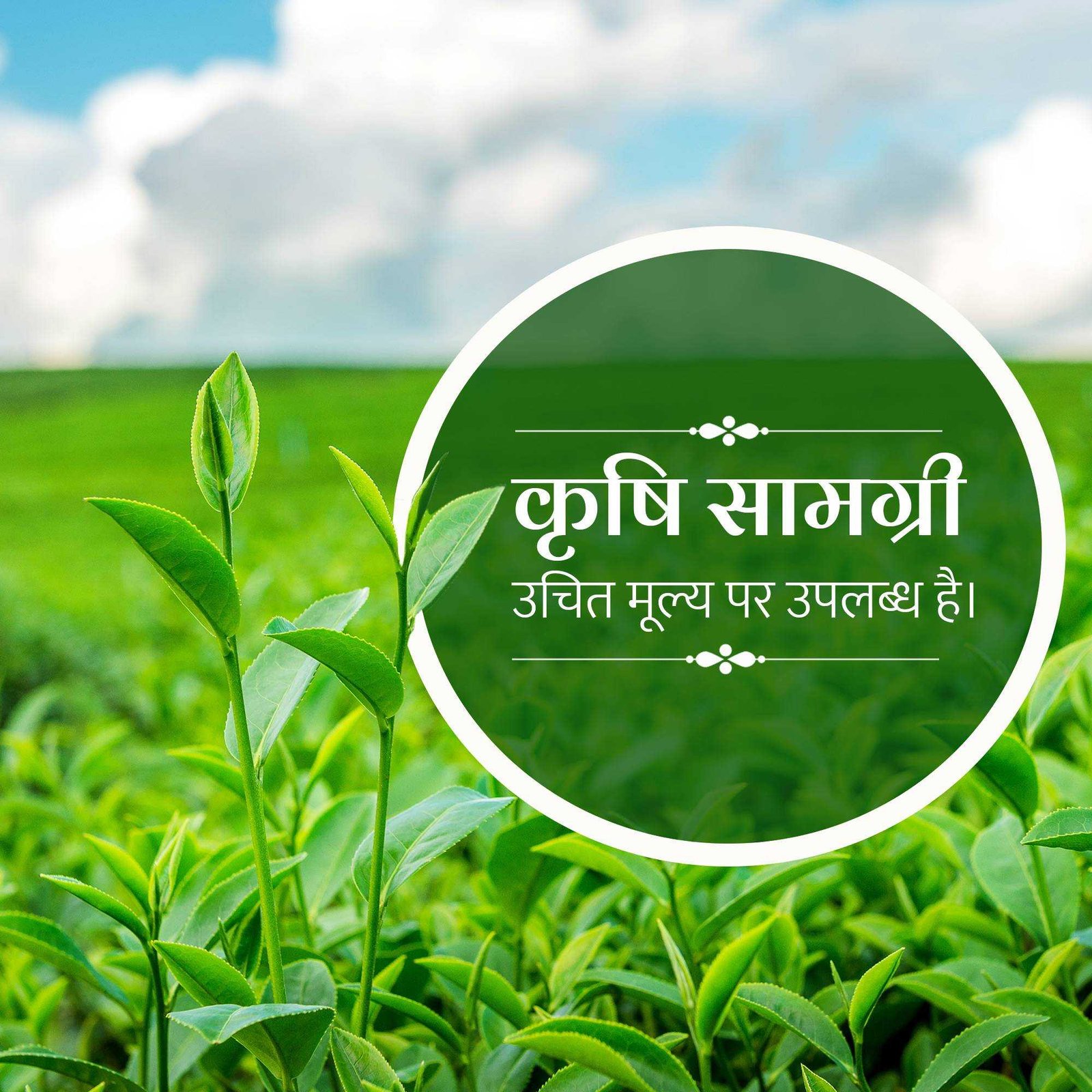 Agriculture poster 339