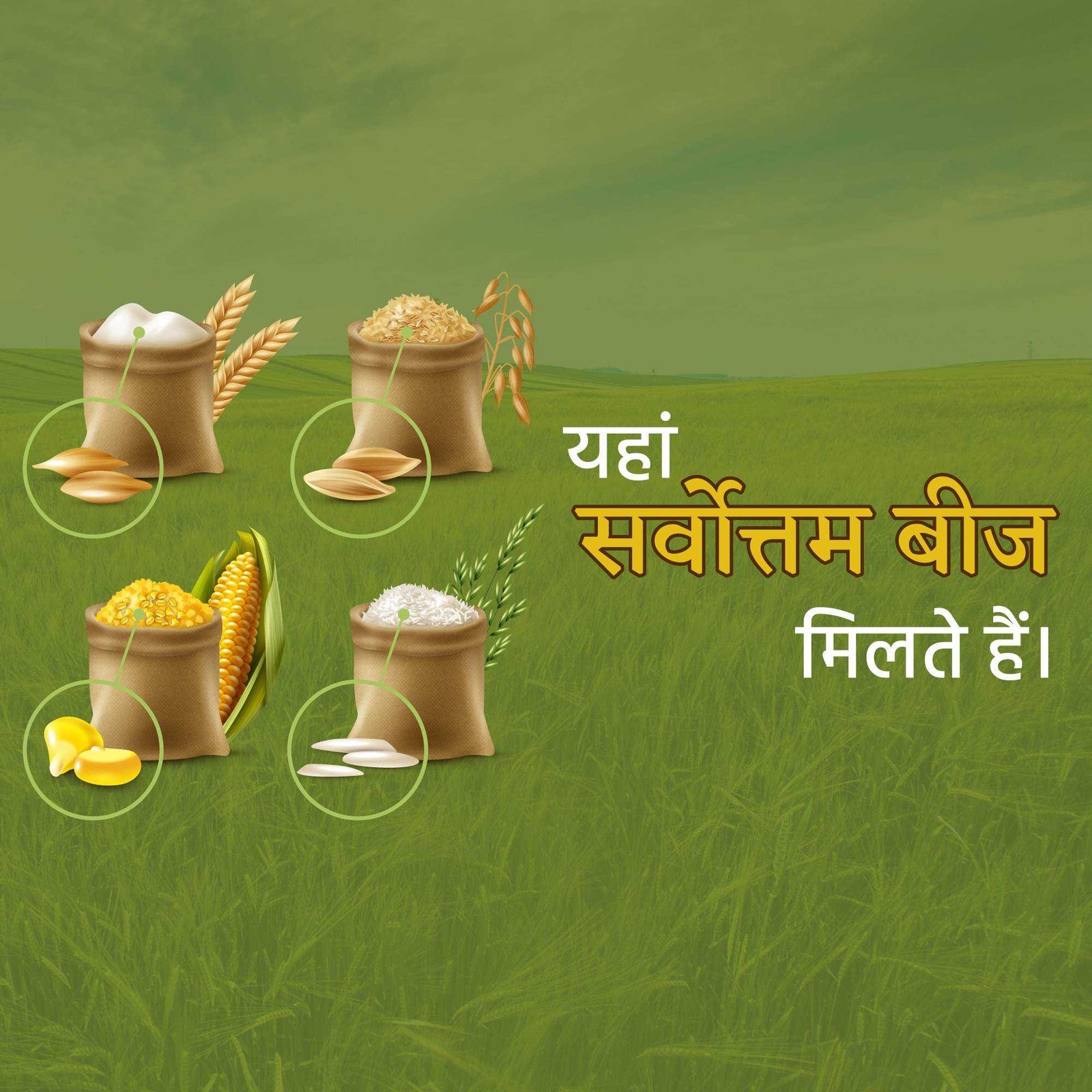 Agriculture poster 80