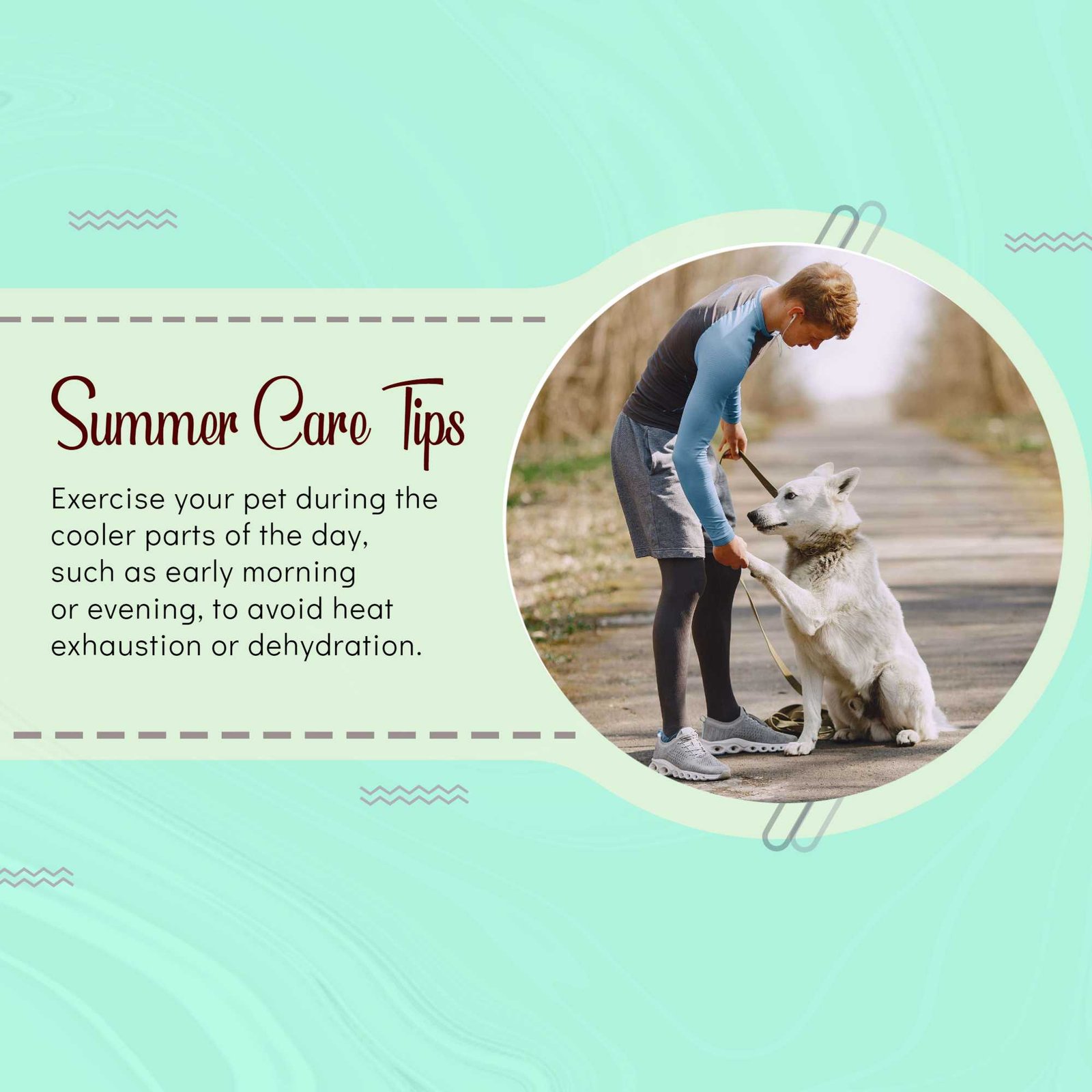 Pet Supplies And Services पोस्टर 94