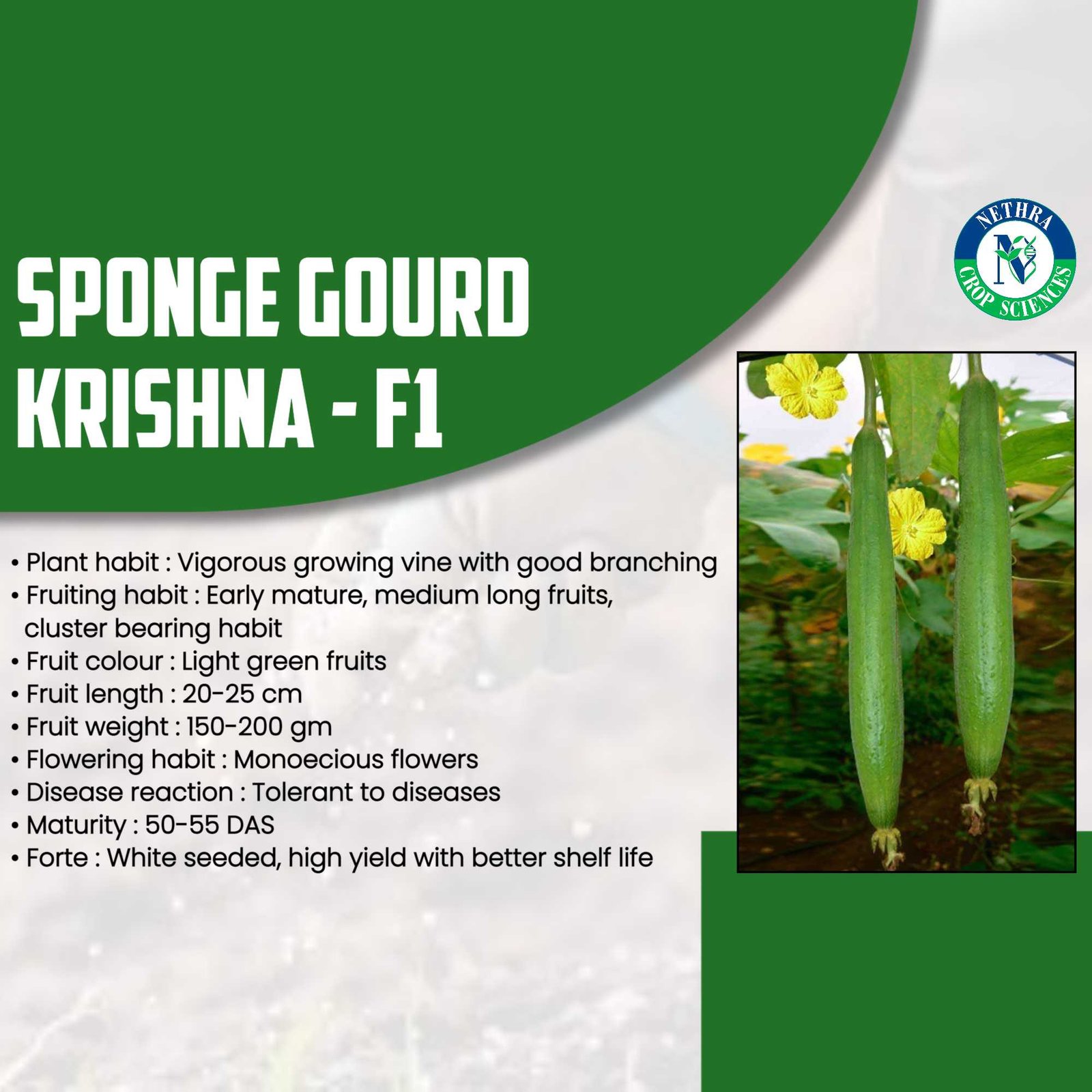 Agriculture poster 20