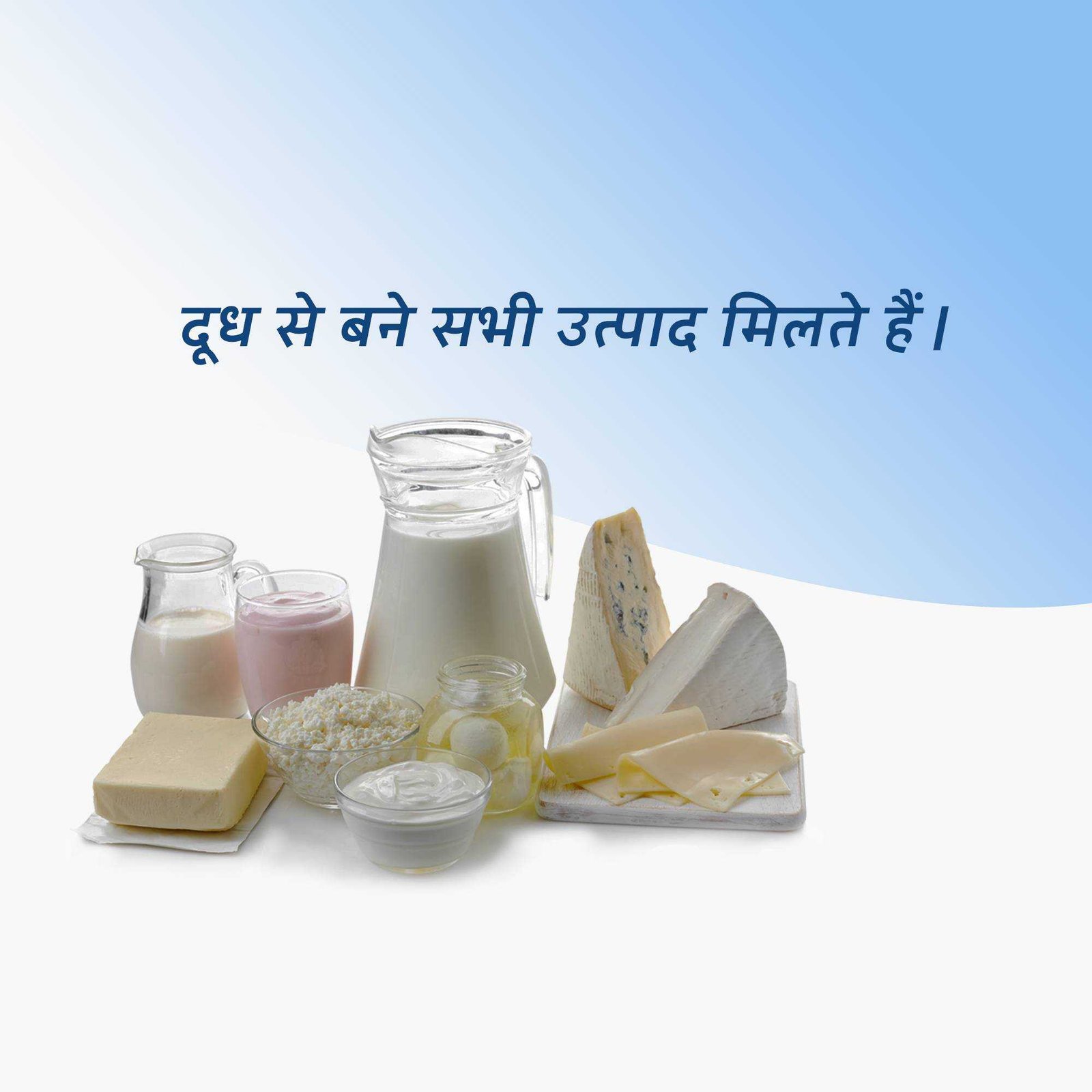 Dairy Shop & Milk poster 209