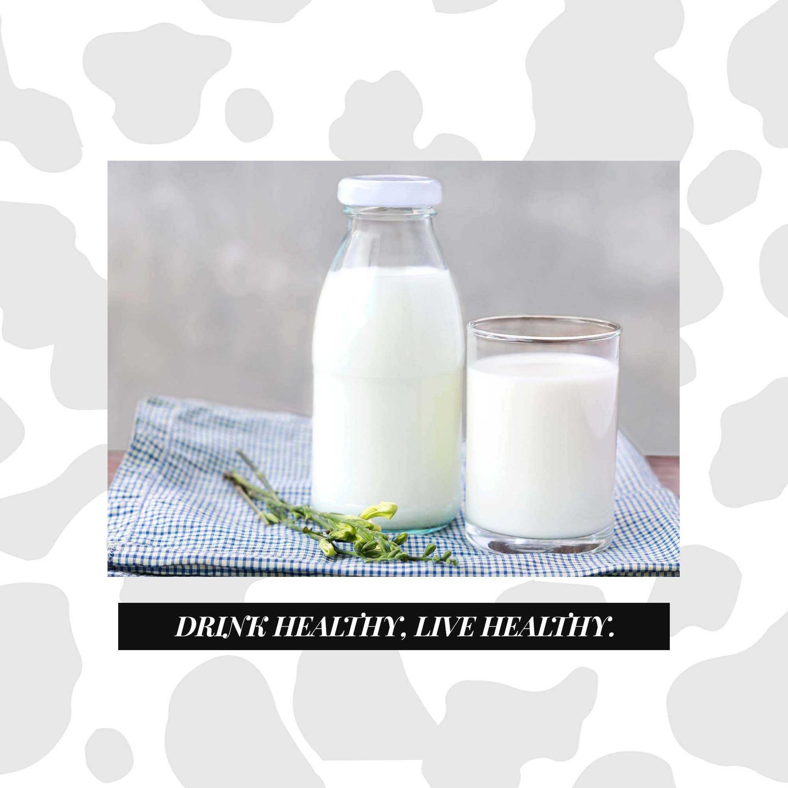Dairy Shop & Milk पोस्टर 45