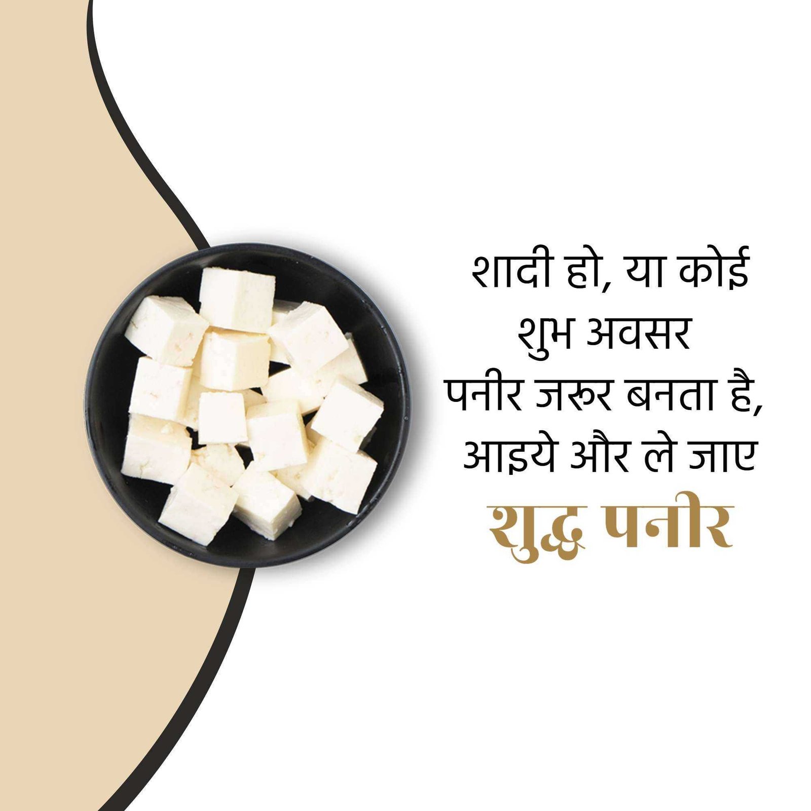 Dairy Shop & Milk poster 196