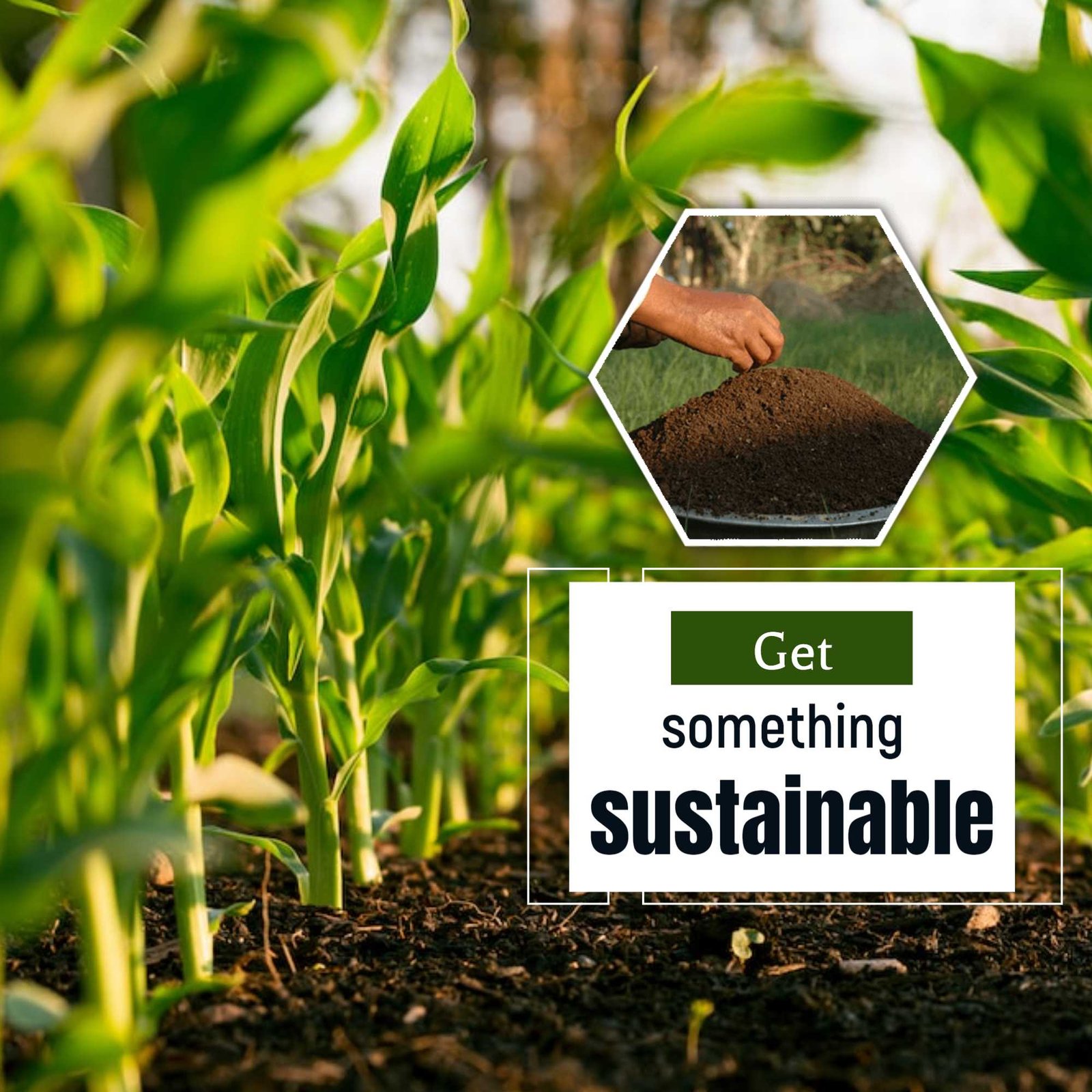 Agriculture poster 453