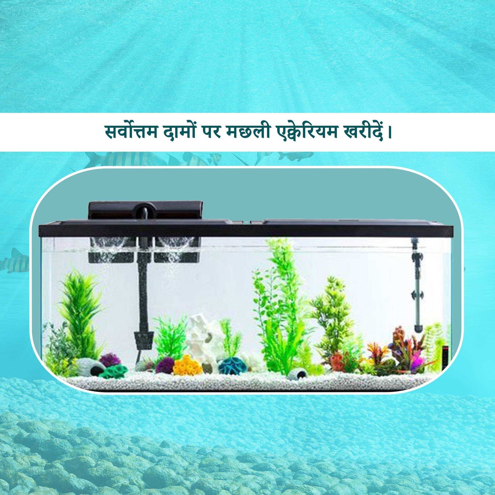 Pet Supplies And Services पोस्टर 108