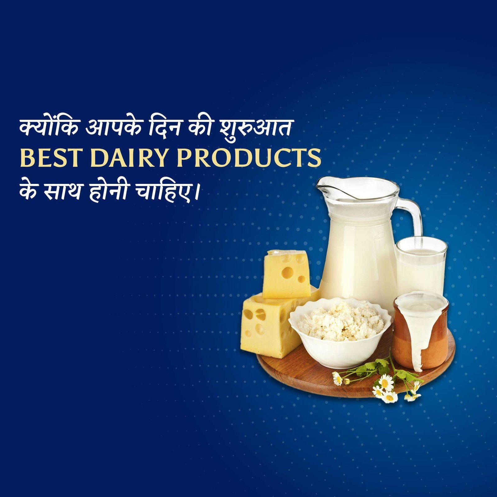 Dairy Shop & Milk poster 211