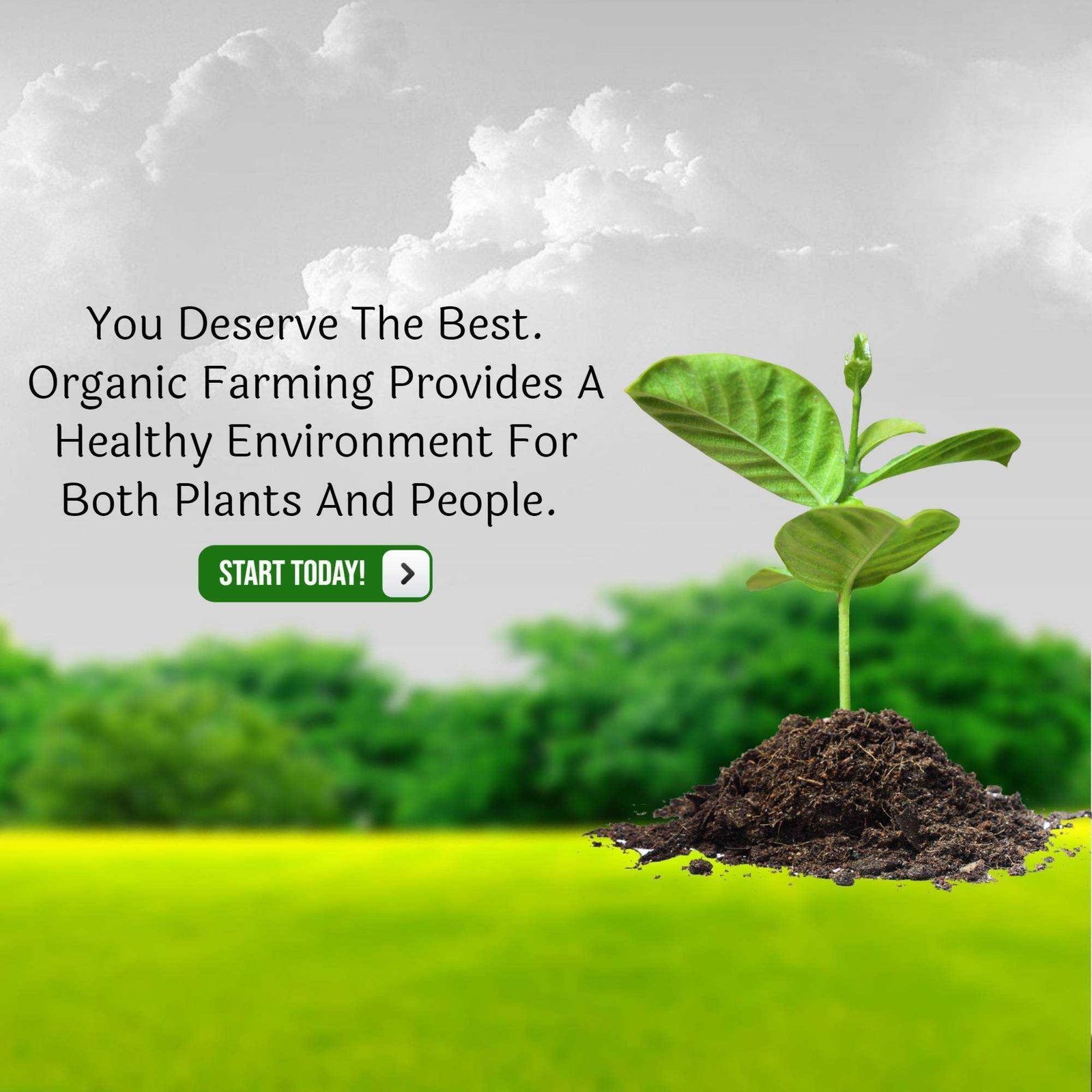 Agriculture पोस्टर 187