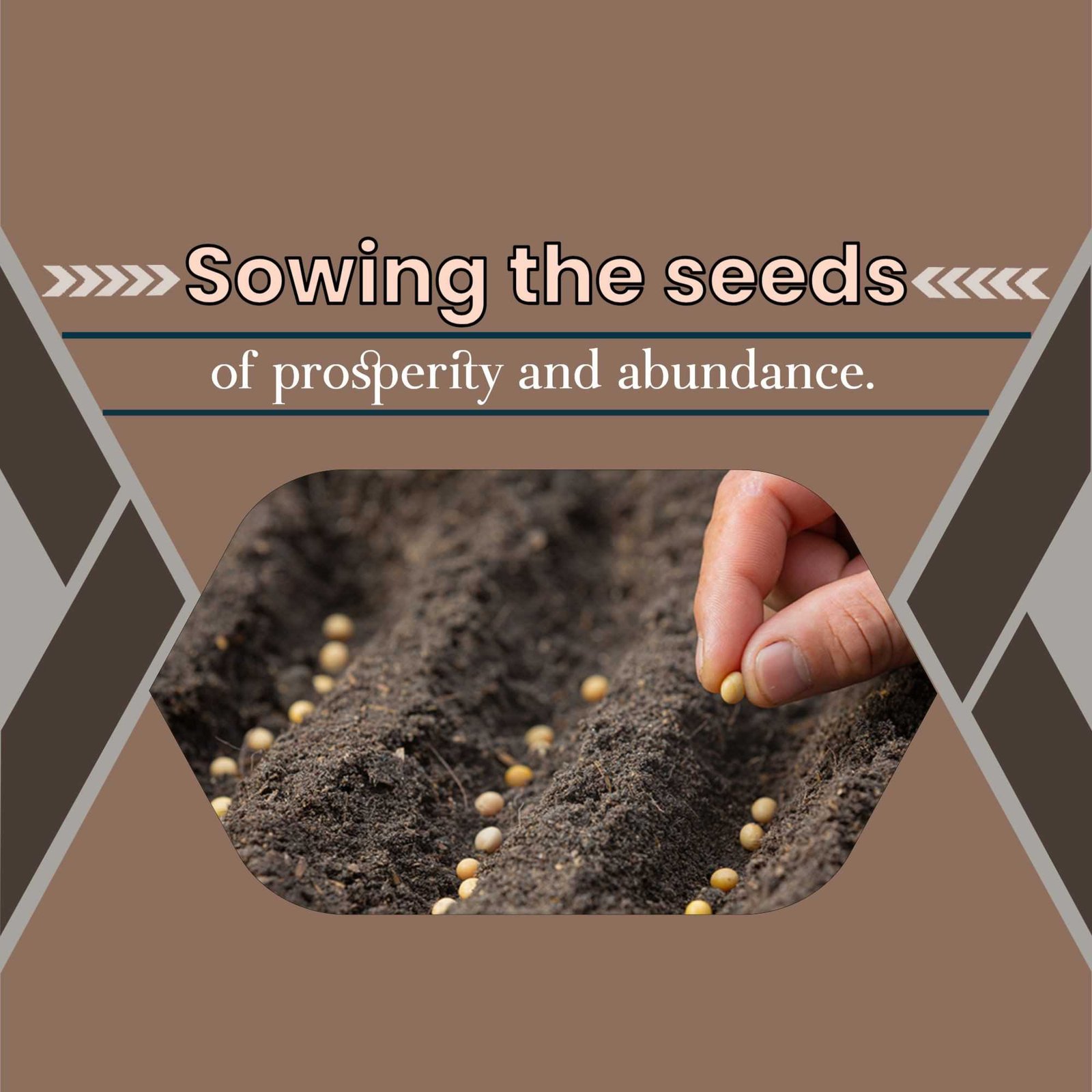 Agriculture poster 321