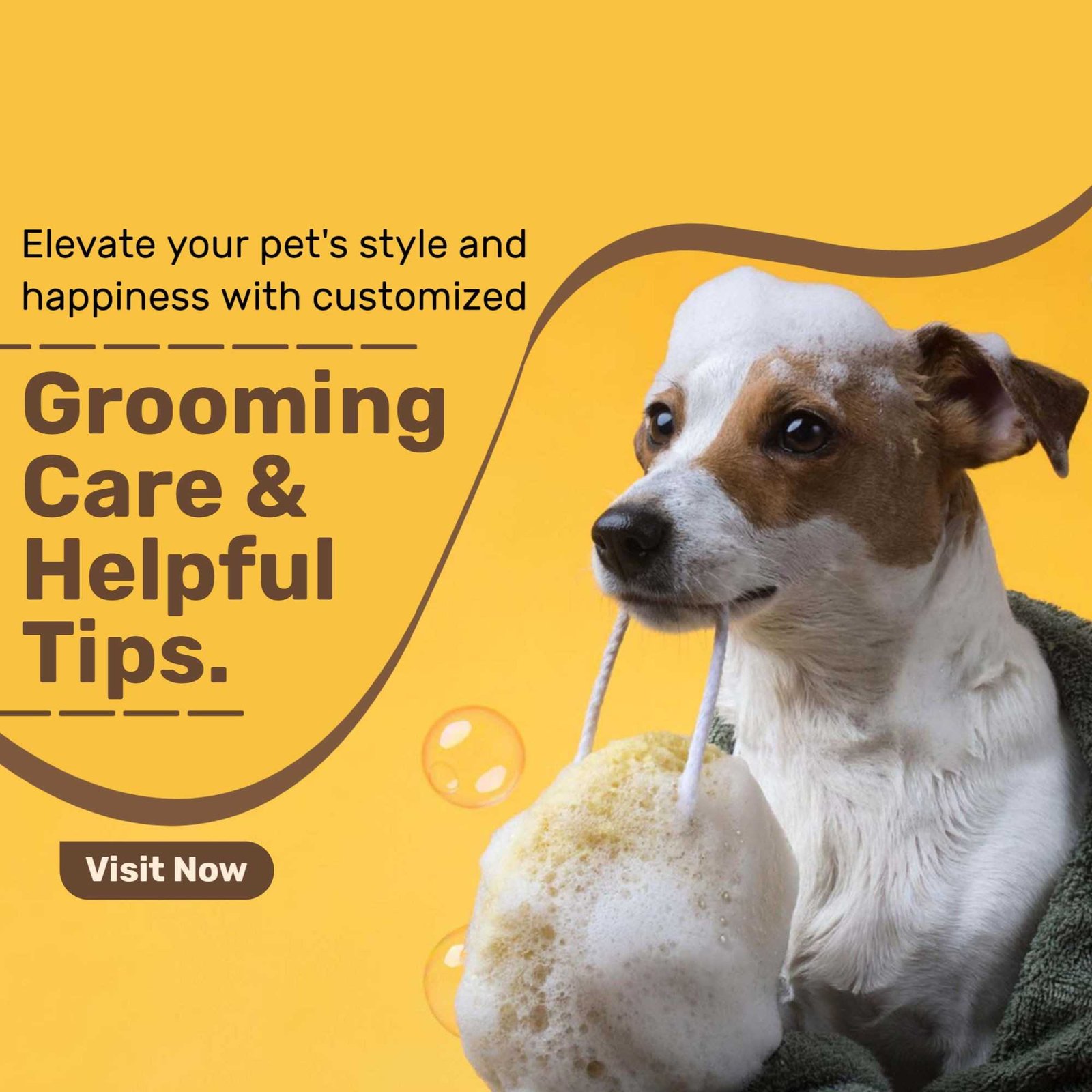 Pet Supplies And Services पोस्टर 60